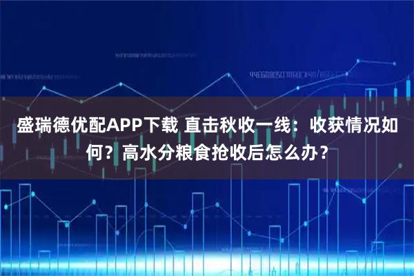 盛瑞德优配APP下载 直击秋收一线：收获情况如何？高水分粮食抢收后怎么办？